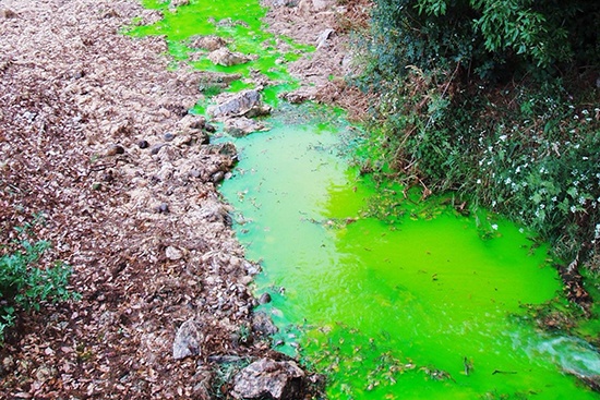 Injection de fluorescéine pour caractériser les pertes dans le Bérange (34) dans le cadre d’une étude de la vulnérabilité de l’aquifère burdigalien